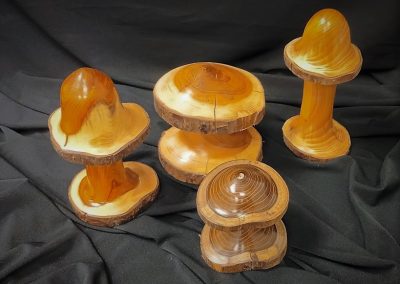 Ben Dick - These Mushrooms are made from Yew or Laburnum branch-wood and are different sizes and shapes so they are priced as marked starting at £10