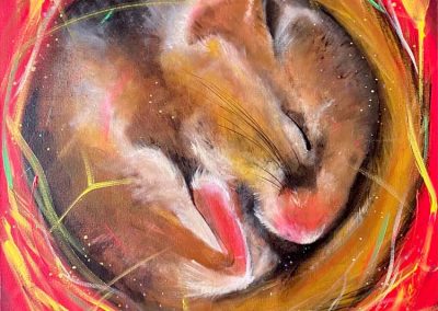 Iain Chara Kane - Dreaming Dormouse - Acrylic - Unframed A2 box canvas with painted edges - £150 - Cost does not include postage and packaging 