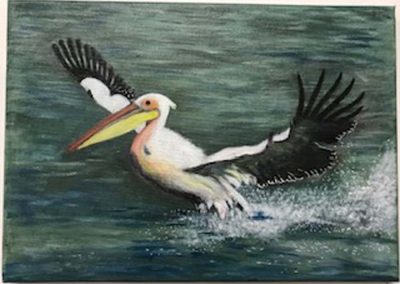Jash Ghata-Aura - Pelican - Acrylic (canvas)  - 35.5 cm x 25.5cm  - £50 