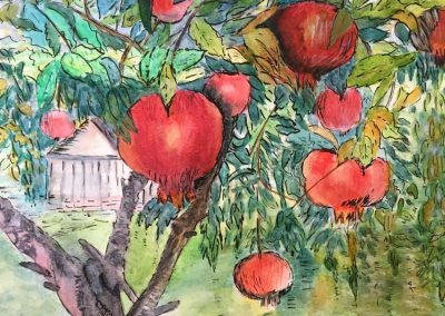 Jash Ghata-Aura - Pomegranate Tree  - Mixed Media  - 33cm x 38cm  - £55 